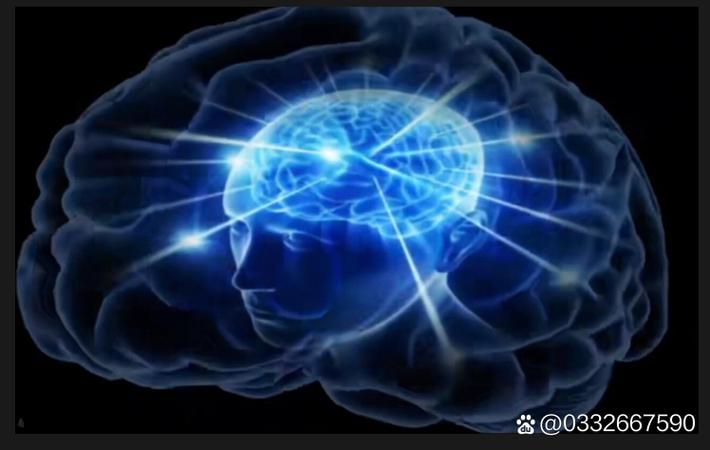 每日吃瓜大赛热点资讯 - 某热门综艺录制现场突发意外，导演组紧急叫停